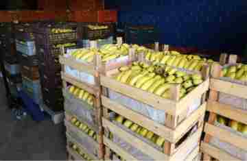  Preços de alimentos e bebidas caem em todas as regiões do Paraná em novembro